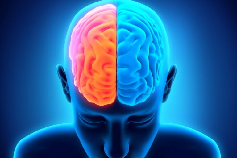 Was passiert, wenn die rechte Gehirnhälfte verletzt wird?