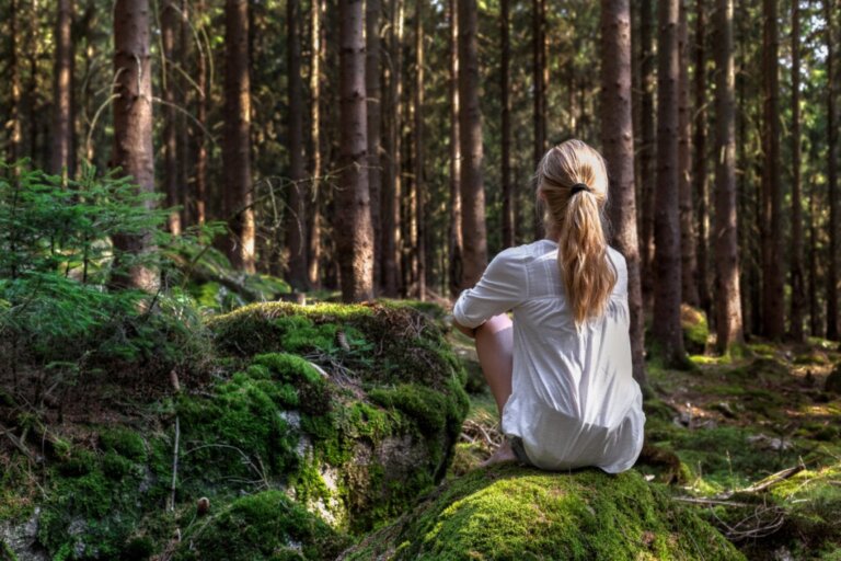 Kuriositäten über die Stille