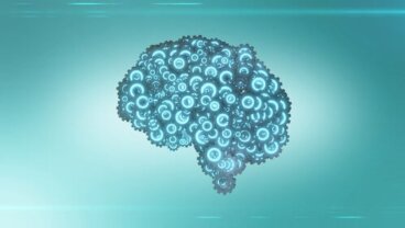 Der 10-Prozent-Mythos: Wie viel Prozent des Gehirns nutzen wir?