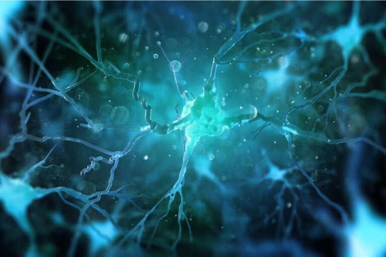 Das glymphatische System "reinigt" das Gehirn und fördert die geistige Gesundheit