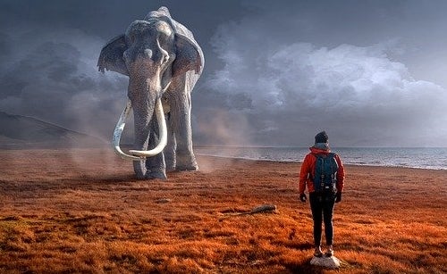 Reaktiv oder proaktiv? Die Einstellung zu Problemen macht den Unterschied