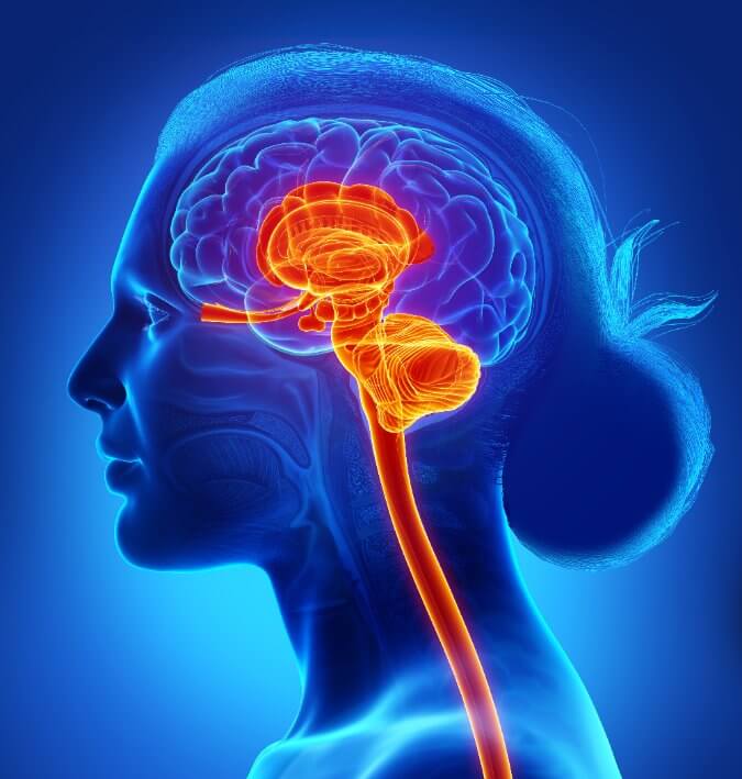 Die Polyvagal-Theorie: Paradigmenwechsel in Therapie und Beratung