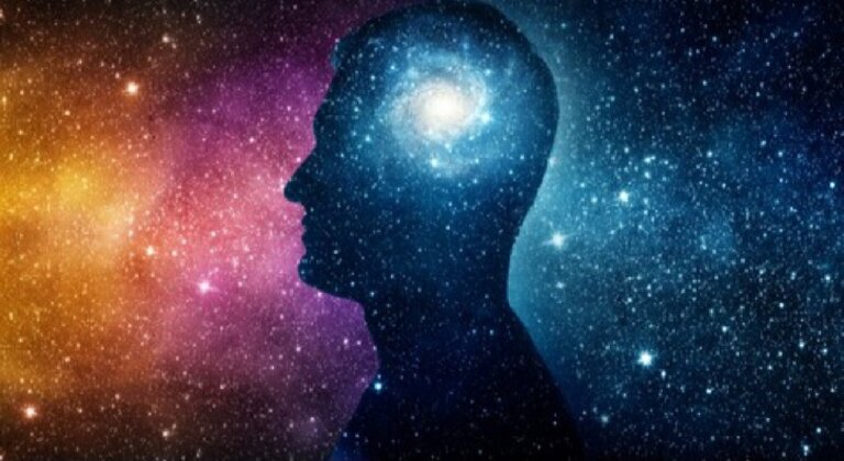 Panpsychismus: Haben nur Menschen ein Bewusstsein?