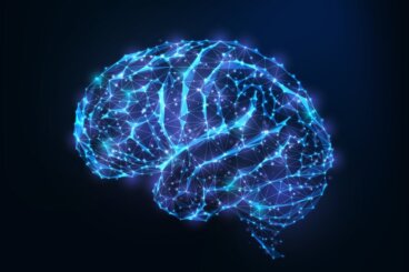 Besteht ein Zusammenhang zwischen Persönlichkeit und Gehirnstruktur?