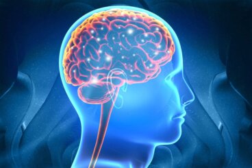 Die Hebbsche Lernregel und die Neuroplastizität