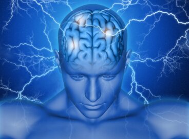 Wie das supplementär-motorische Areal unsere Bewegungen steuert