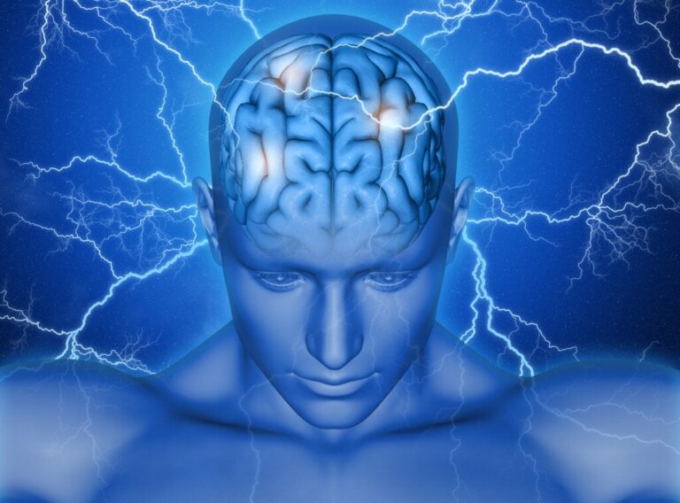 Wie das supplementär-motorische Areal unsere Bewegungen steuert