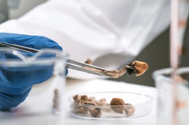 Psychedelika und unheilbare Krankheiten