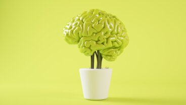 Wachstumsdenken: 3 Mythen über das Growth Mindset
