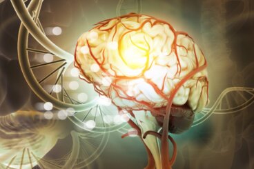 Dopamin und Serotonin: Unterschiede und Zusammenspiel