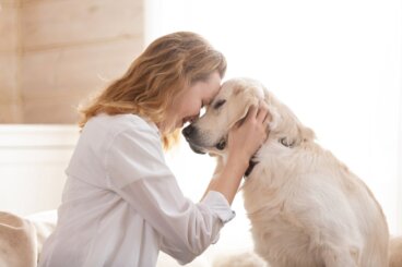 Hundetherapie gegen Angst