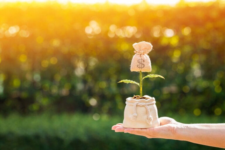 Wie du deine Beziehung zu Geld verbesserst