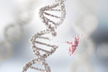Das FOXG1-Syndrom, eine seltene Genmutation