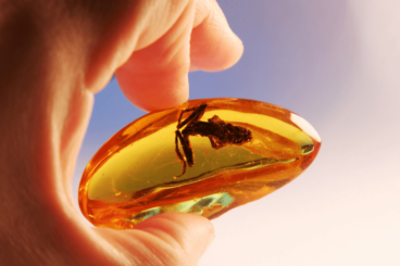 Die Bedeutung der Farbe Bernstein aus psychologischer Sicht