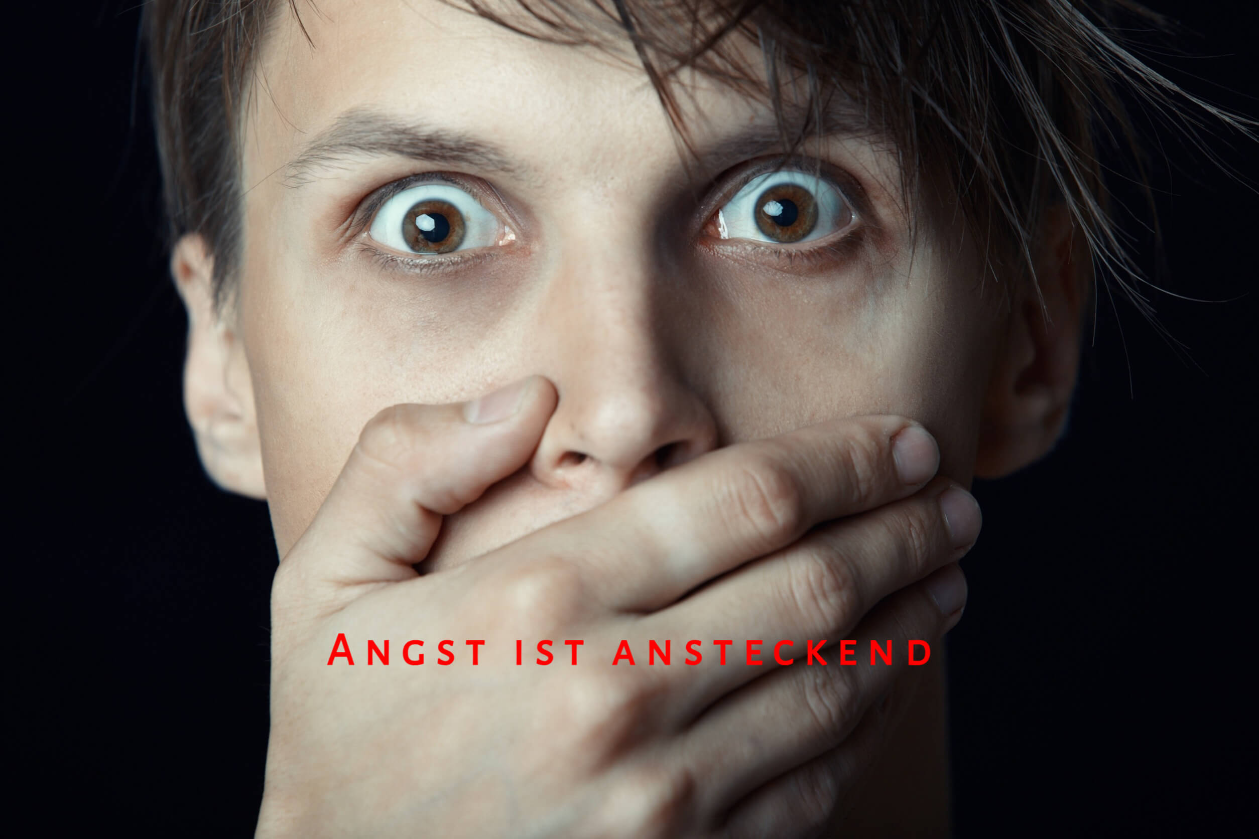 Anderes Wort Für Angst Haben Angst ist ansteckend: Wenn das Gefühl die Vernunft überlagert
