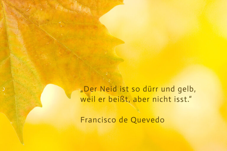 40 Zitate über Neid, die zur Reflexion einladen