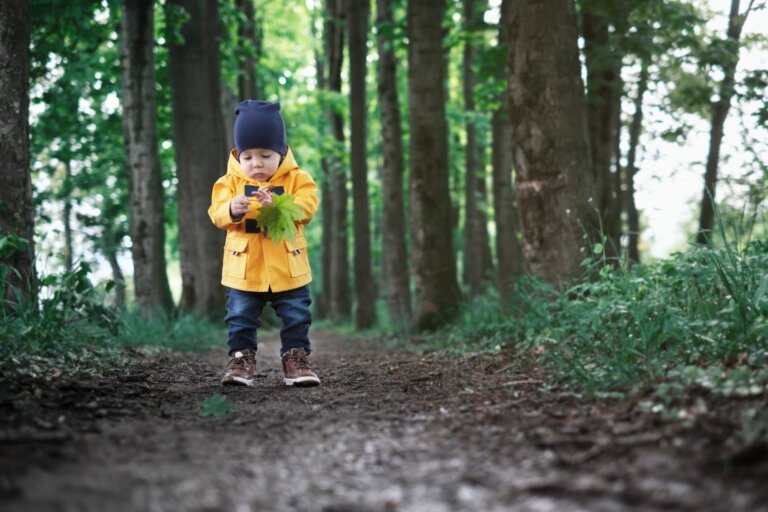 Draußen zu Hause – darum ist Naturerziehung wichtig für dein Kind