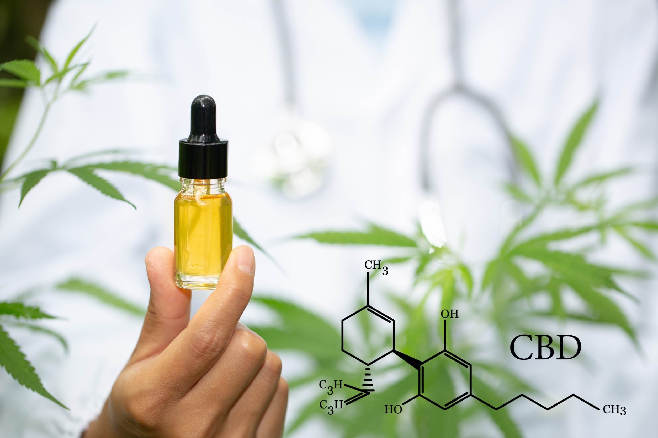 cbd öl