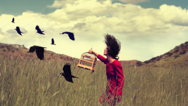 Traumdeutung ᐅ Was bedeuten Vögel im Traum?