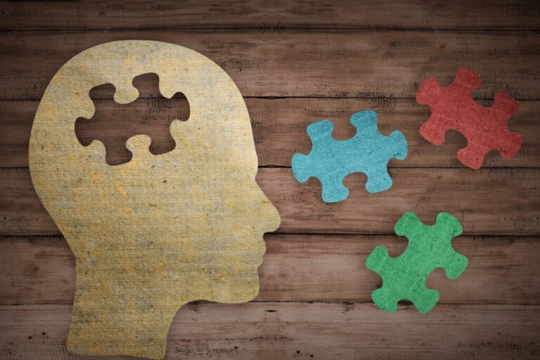 Das menschliche Gehirn: 10 Formen des Gedächtnisses