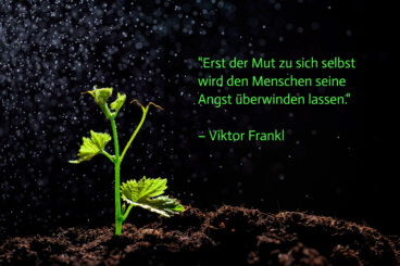 48 inspirierende Zitate über Resilienz