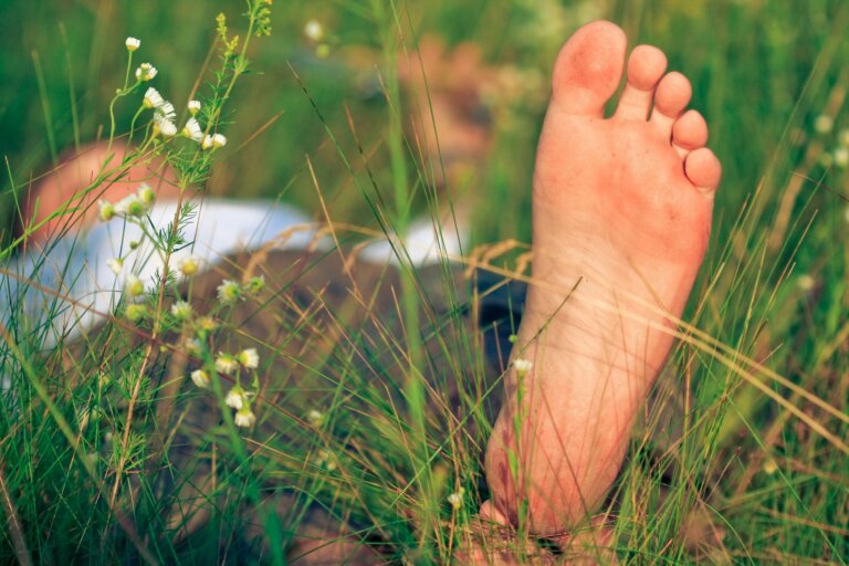 Erdung im Alltag: Energie, Lebensqualität und innerer Halt