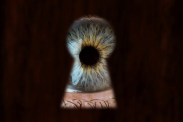 Voyeurismus: Ein Blick hinter die Kulissen