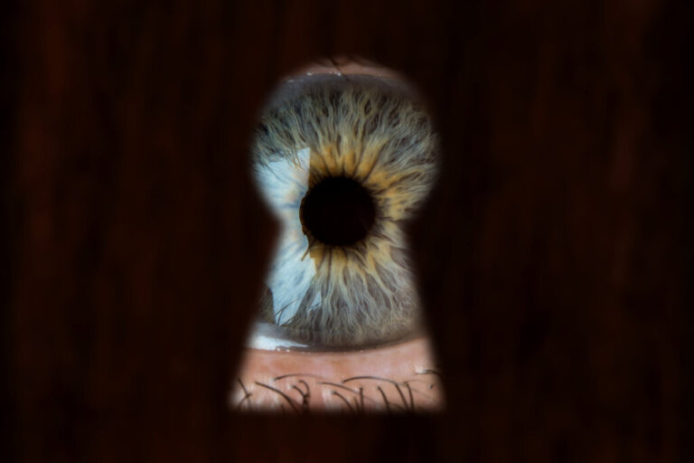 Voyeurismus: Ein Blick hinter die Kulissen