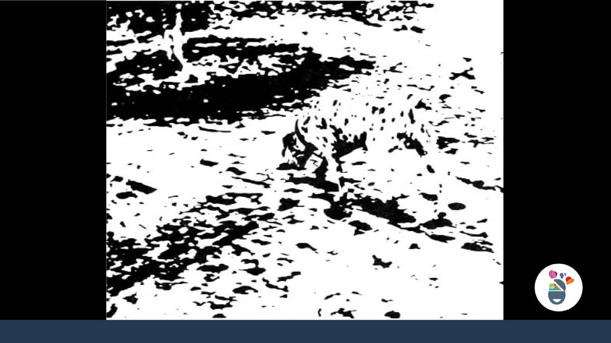 Das Prägnanzprinzip - Beispiel