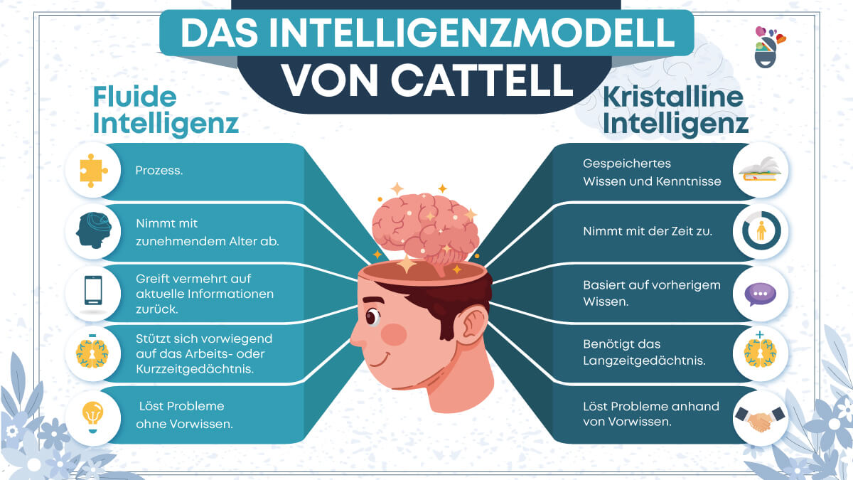 fluide und kristalline intelligenz