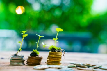 Money Mindset: Die Einstellung zum Geld