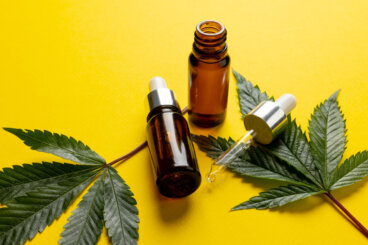 Cannabidiol im Fokus: So kann CBD deine Gesundheit unterstützen