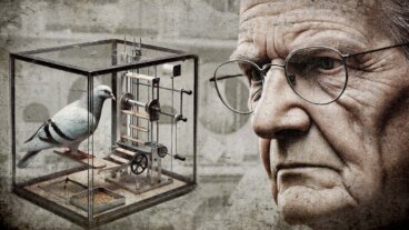 Das Skinner-Box-Experiment: Lernen durch Belohnung