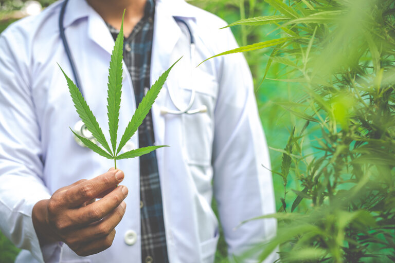 medizinisches cbd