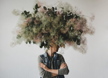 Psychobionik: Wie die Natur uns den Weg zu innerer Ordnung zeigt