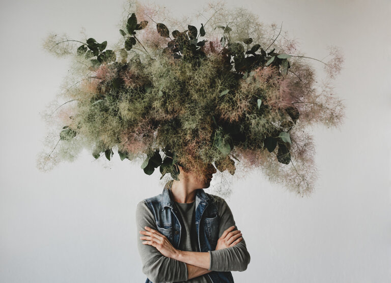 Psychobionik: Wie die Natur uns den Weg zu innerer Ordnung zeigt